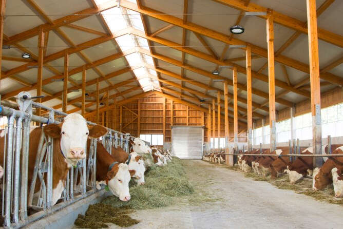 KERBL LED Hallenstrahler 240W nicht dimmbar, Modell 2019